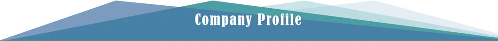 All Mountain Dual Lightweight Carbon Fiber Snowboard with Binding Customized Logo Wholesale Equipment
